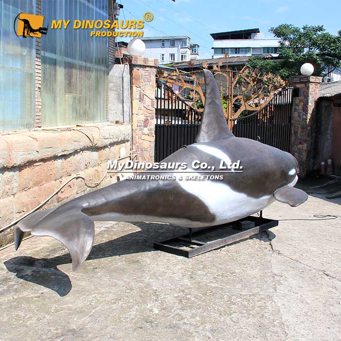 Animatronic-Killer-Whale-1 Animatronic-Killer-Whale-1