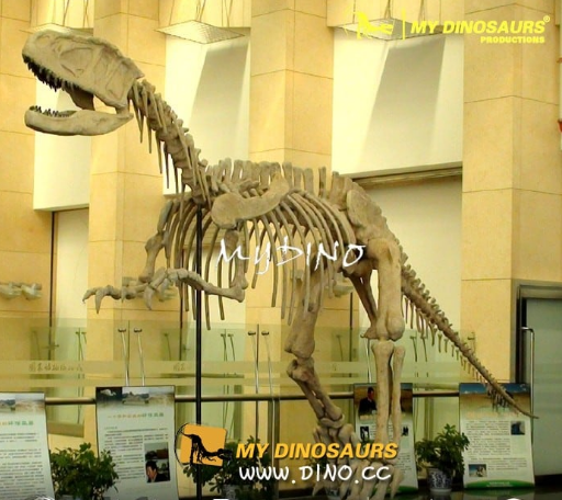 恐龙骨架模型.png