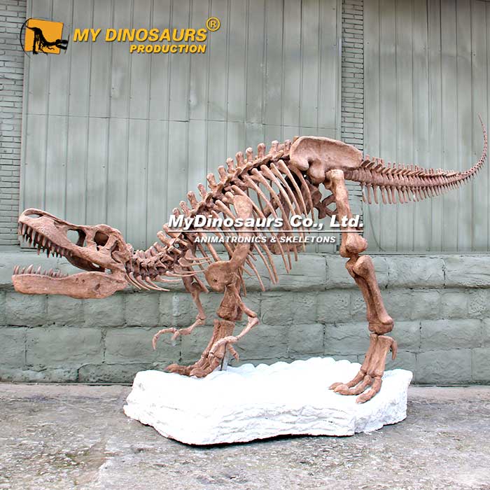 T-Rex-skeleton-with-base-2 T-Rex-skeleton-with-base-2