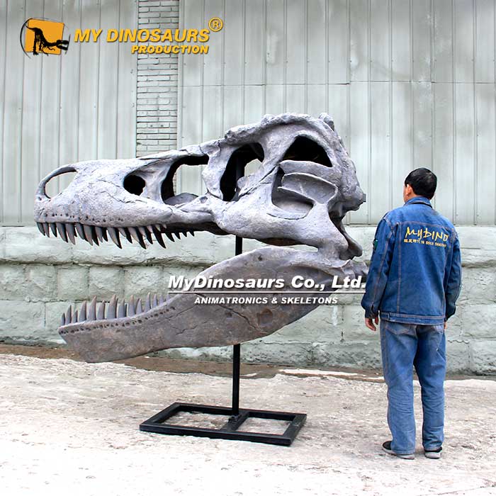 2.2-M-t-rex-skull 2.2-M-t-rex-skull