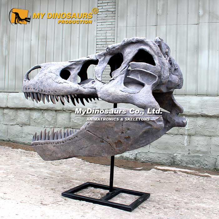 2.2-t-rex-skull 2.2-t-rex-skull