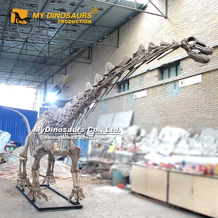 Alamosaurus-skeleton-1 Alamosaurus-skeleton-1