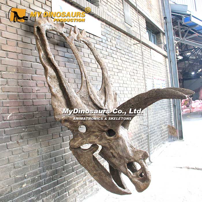 Coahuilaceratops-Skull-2 Coahuilaceratops-Skull-2