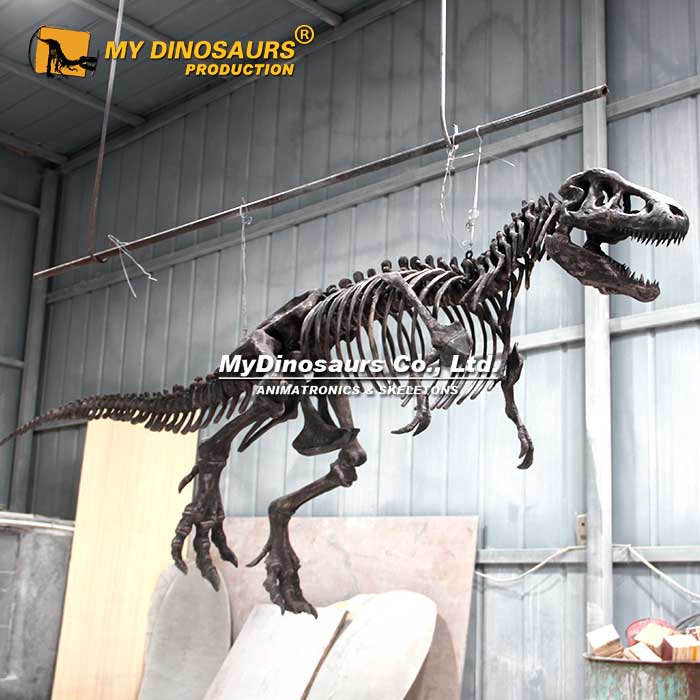 hanging-t-rex-skeleton-2.5M-2 hanging-t-rex-skeleton-2.5M-2