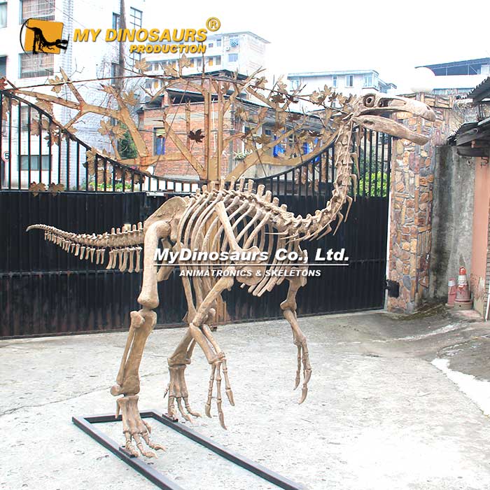 Paraxenisaurus-skeleton-1 Paraxenisaurus-skeleton-1
