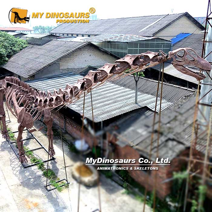 36M-Argentinosaurus-skeleton-2 36M-Argentinosaurus-skeleton-2