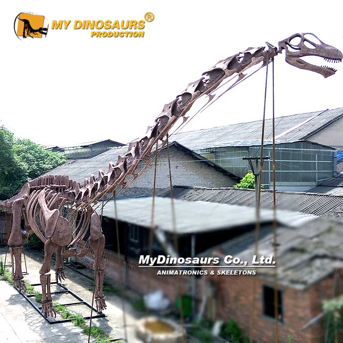 36M-Argentinosaurus-skeleton-1 36M-Argentinosaurus-skeleton-1