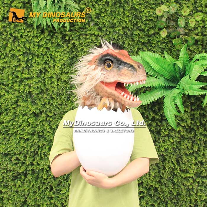 Baby-dino-in-egg-shell-hand-puppet Baby-dino-in-egg-shell-hand-puppet