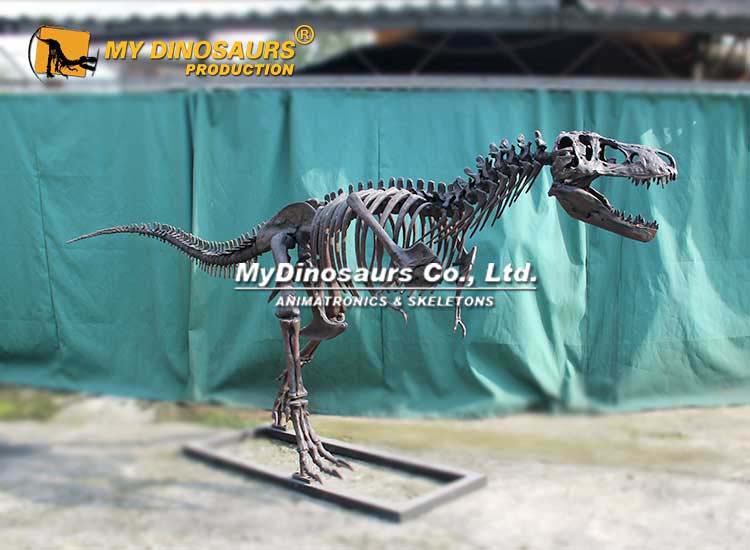 15-ft-life-size-t-rex-skeleton.jpg