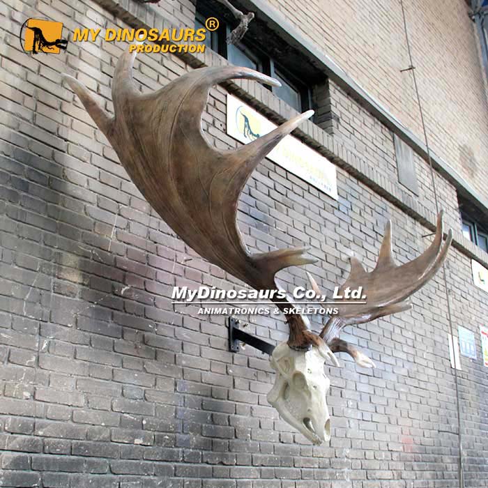 Irish-giant-deer-and-Antlers Irish-giant-deer-and-Antlers