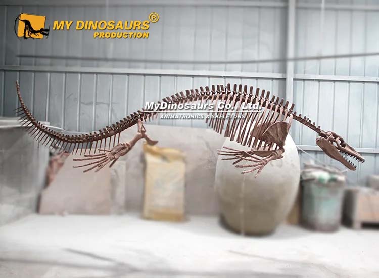3.8 m Mosasaurus Skeleton Museum 1 3.8 m Mosasaurus Skeleton Museum 1