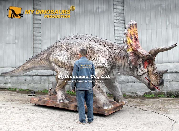 6m triceratops animatronic 1 6m triceratops animatronic 1