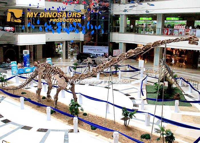 a26bae6ac24abff7d237aa8a8feb874b_Mamenchisaurus-skeleton-4 a26bae6ac24abff7d237aa8a8feb874b_Mamenchisaurus-skeleton-4