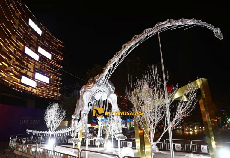 94b03bf0be913e6d16685c4d4de98892_Mamenchisaurus-Skeleton 94b03bf0be913e6d16685c4d4de98892_Mamenchisaurus-Skeleton