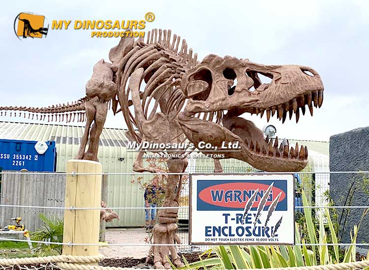 10-m-t.rex-skeleton-museum-quality 10-m-t.rex-skeleton-museum-quality