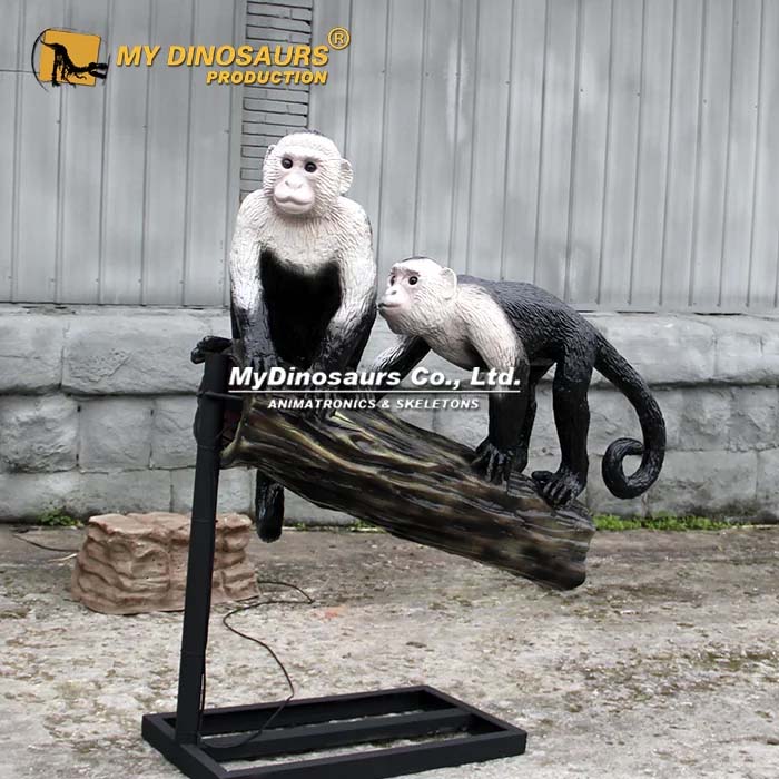 Animatronic Colombian white-faced capuchin 3
