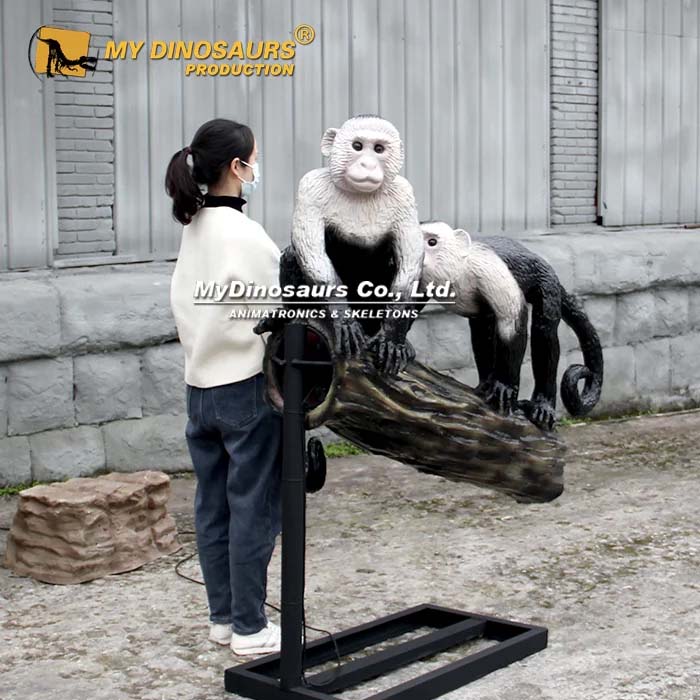 Animatronic Colombian white-faced capuchin 1