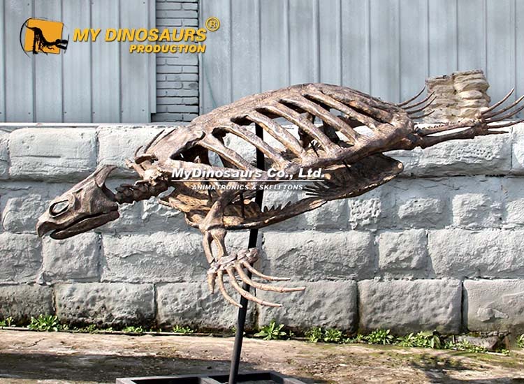 Archelon Turtle Skeleton 2 Archelon Turtle Skeleton 2
