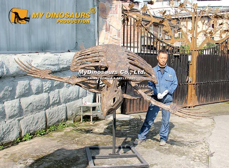 Archelon Turtle Skeleton 3 Archelon Turtle Skeleton 3