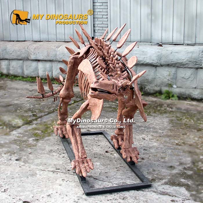 Museum Quality Stegosaurus Skeleton for Sale 4 Museum Quality Stegosaurus Skeleton for Sale 4