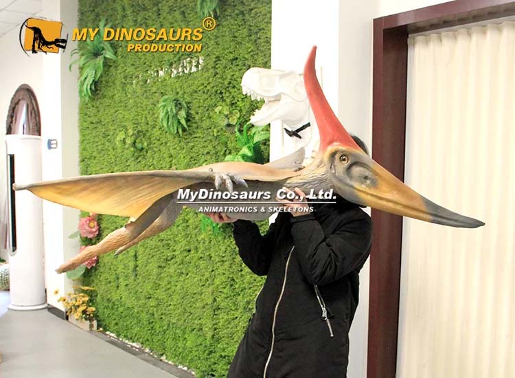 Ultra-light Hanging Pterosaur Model 1 Ultra-light Hanging Pterosaur Model 1
