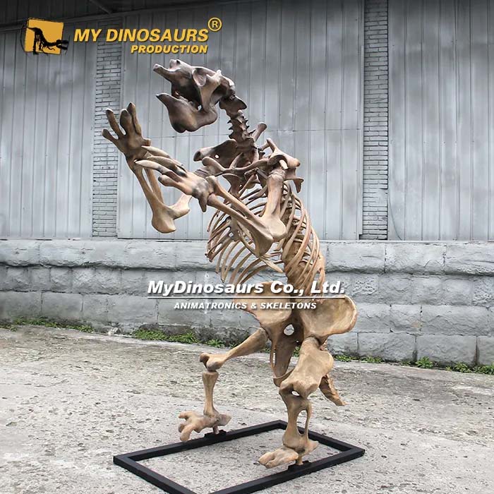2m Megatherium skeleton 2m Megatherium skeleton