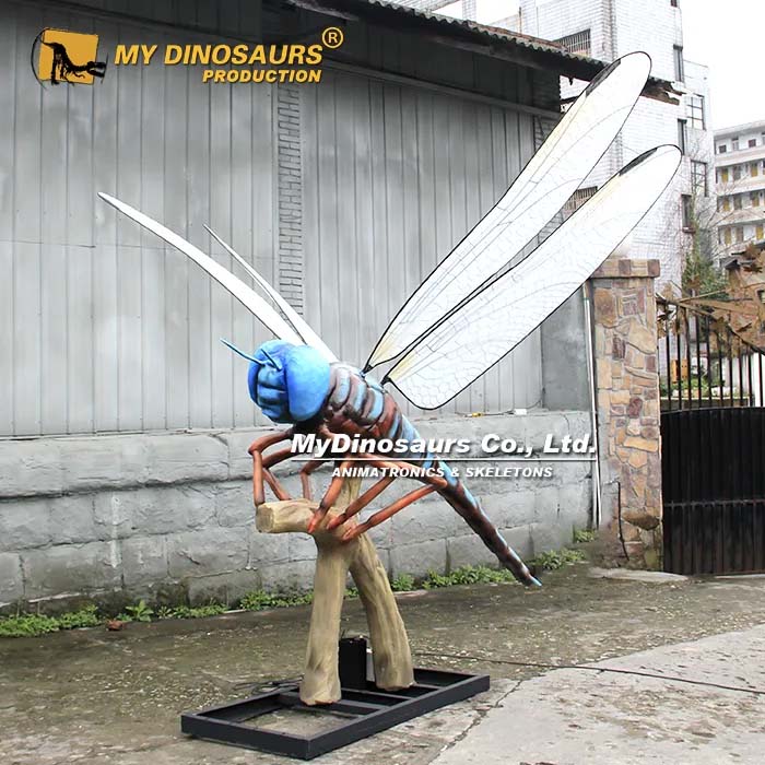 3m dragonfly 5