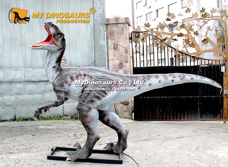 5M raptor 5M raptor