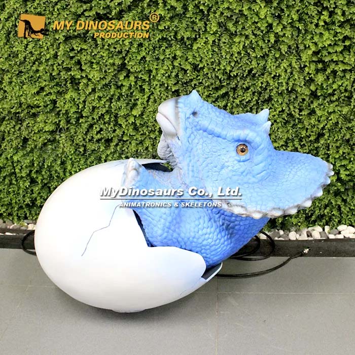 Hatching baby dino triceratops 1