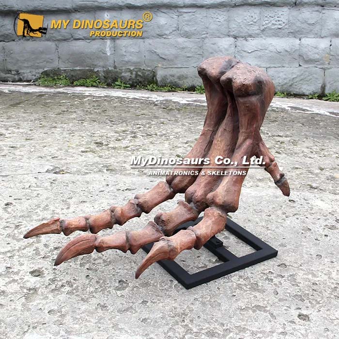 T rex Foot Bone 1 T rex Foot Bone 1