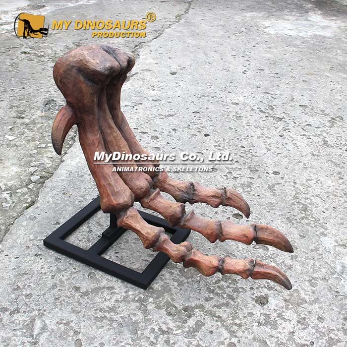 T rex Foot Bone 3 T rex Foot Bone 3