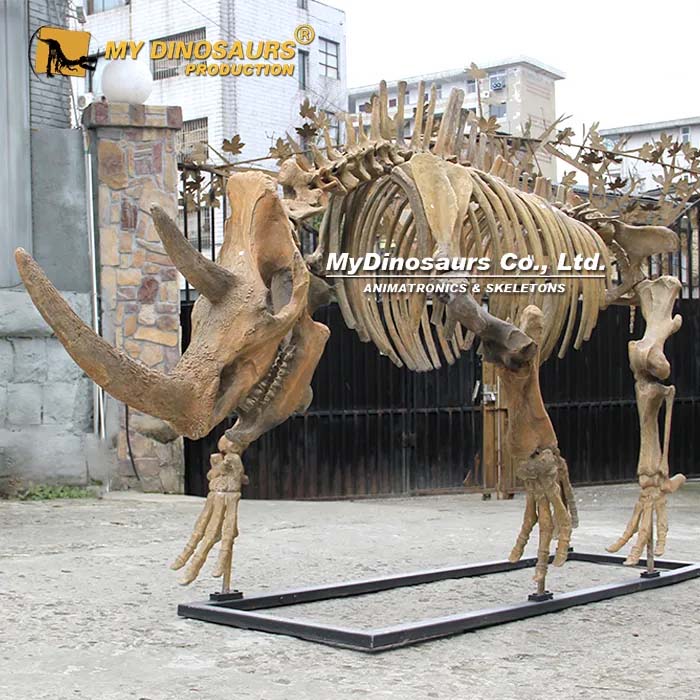Woolly Rhinoceros Skeleton 2 Woolly Rhinoceros Skeleton 2
