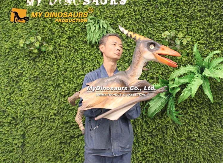Hand-held Pterosaur Puppet 1 Hand-held Pterosaur Puppet 1