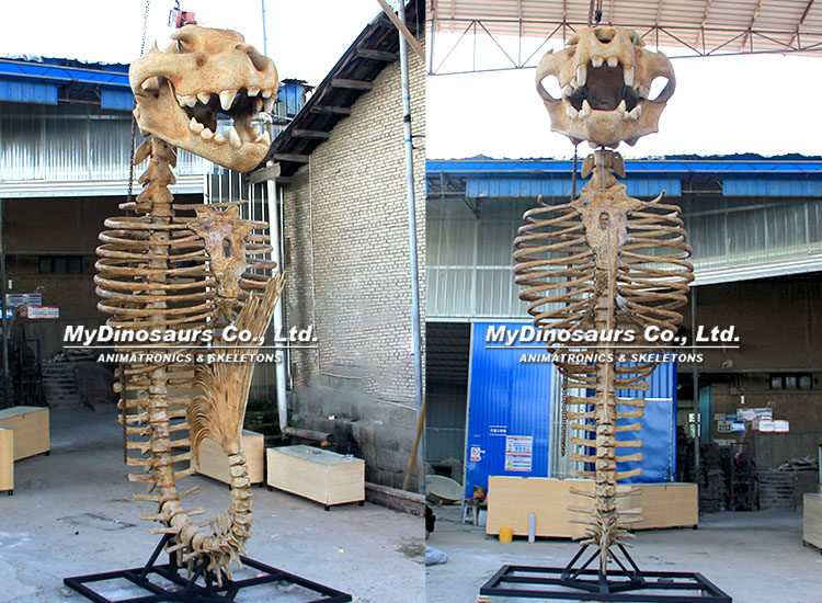 Merlion Skeleton 3 Merlion Skeleton 3