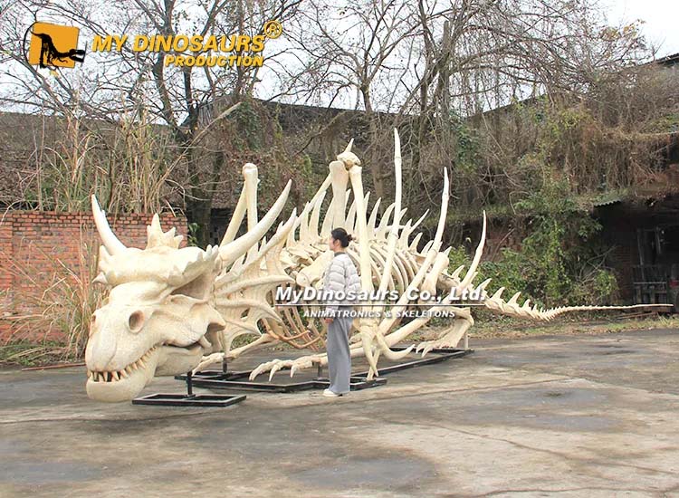 Giant Dragon Skeleton 1