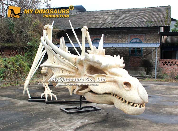 Giant Dragon Skeleton 6