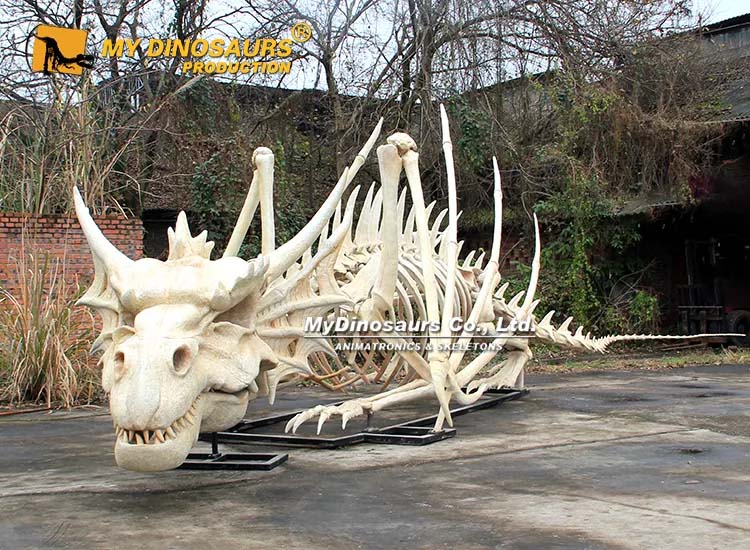 Giant Dragon Skeleton 3
