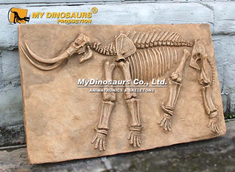 Mammoth Fossil 1 Mammoth Fossil 1