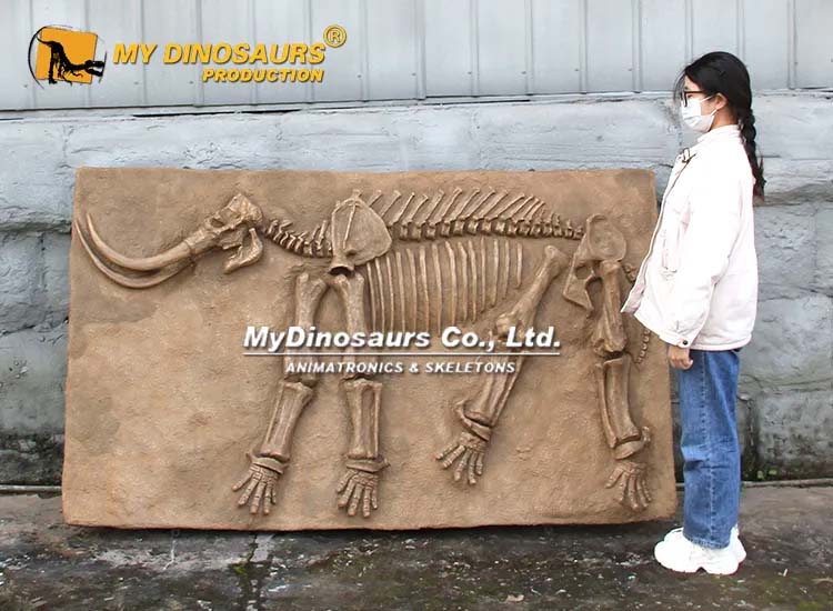 Mammoth Fossil_1 Mammoth Fossil_1