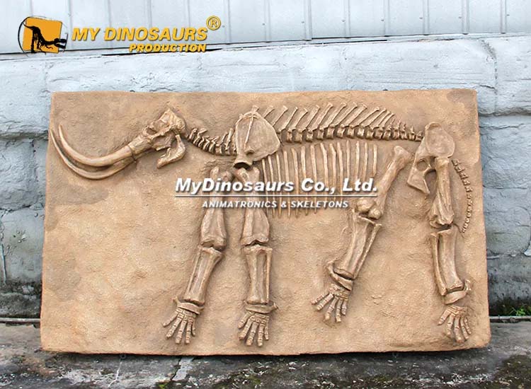 Mammoth Fossil 2 Mammoth Fossil 2