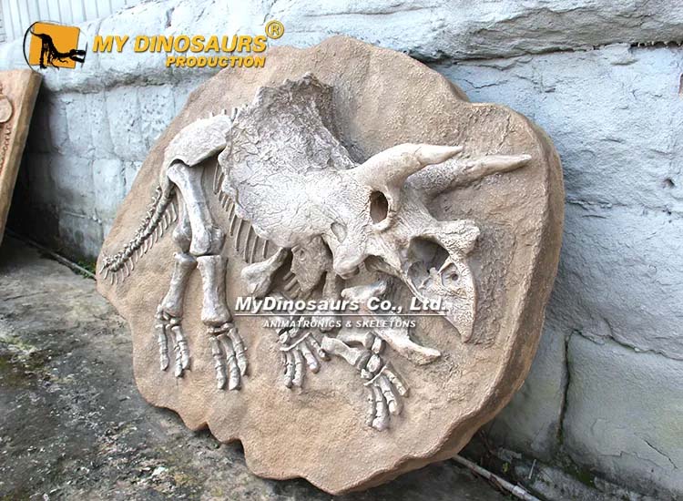 Triceratops Fossil 2 Triceratops Fossil 2