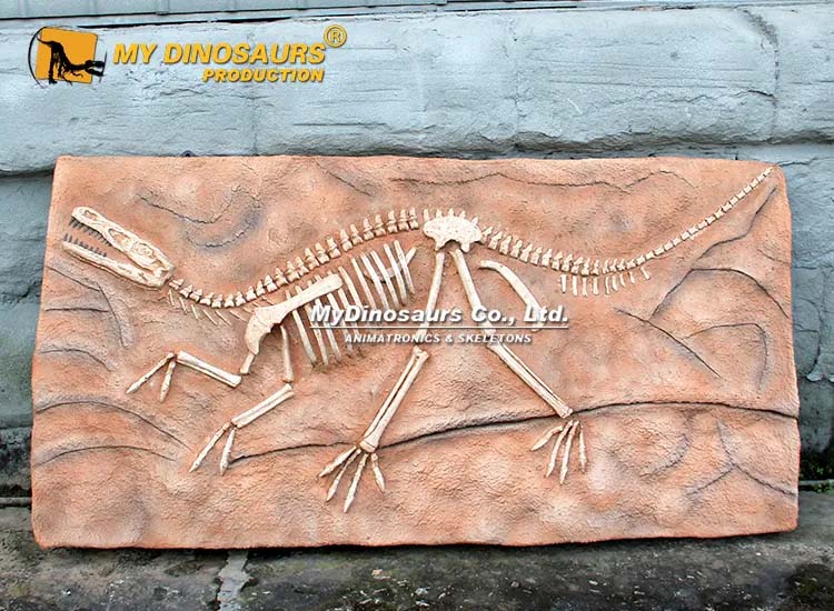 Velociraptor Fossil 2 Velociraptor Fossil 2