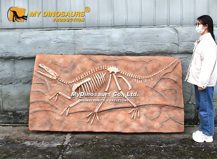 Velociraptor Fossil 3 Velociraptor Fossil 3