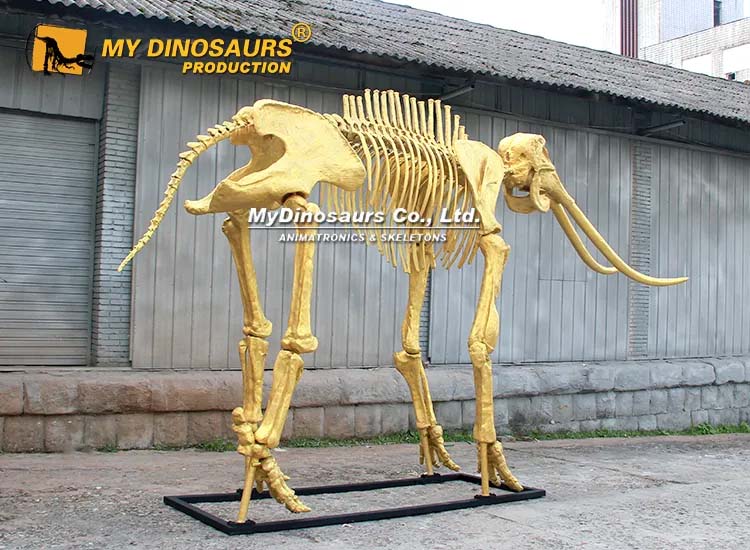 Gold Mammoth Skeleto 4 Gold Mammoth Skeleto 4