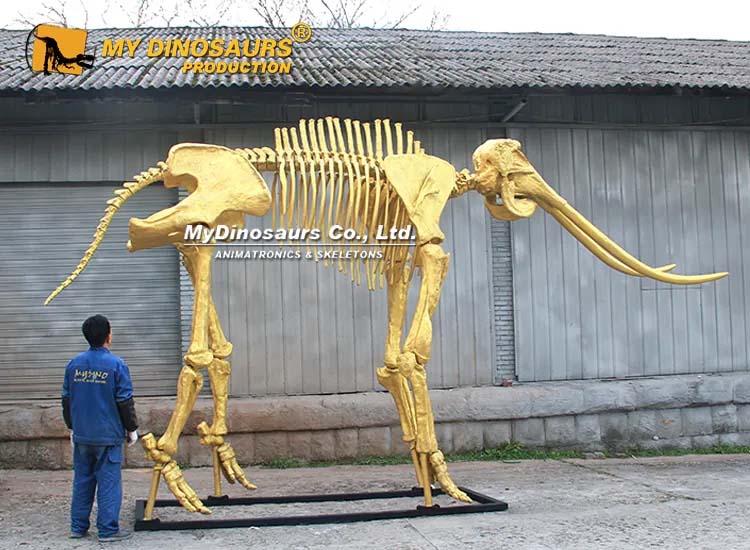 Gold Mammoth Skeleto 3 Gold Mammoth Skeleto 3