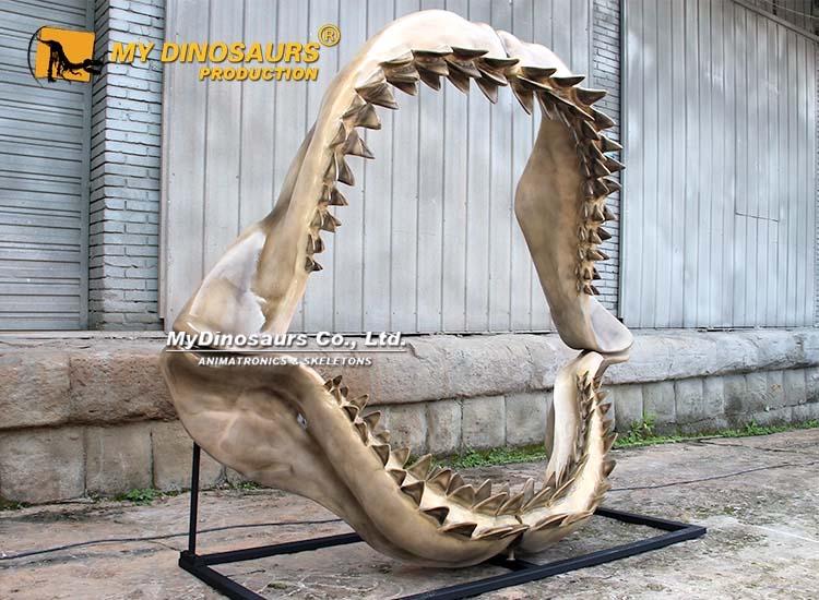 Megalodon Shark Jaw 3 Megalodon Shark Jaw 3