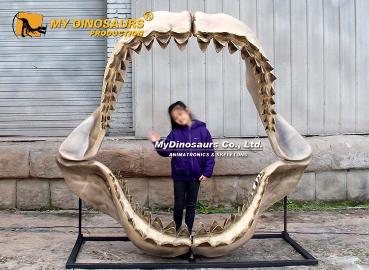 Megalodon Shark Jaw 2 Megalodon Shark Jaw 2