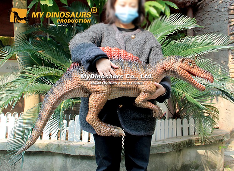 Hand-held Baby Spinosaurus Model