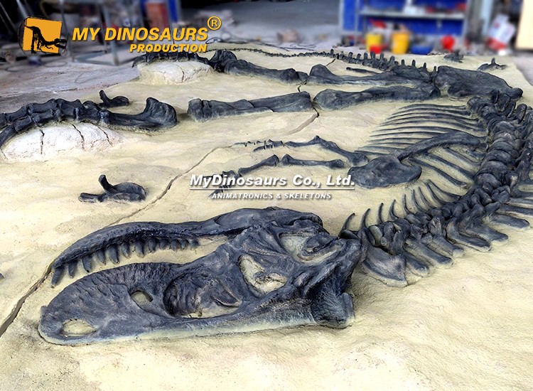 T-rex Fossils Decorative Wall 3 T-rex Fossils Decorative Wall 3