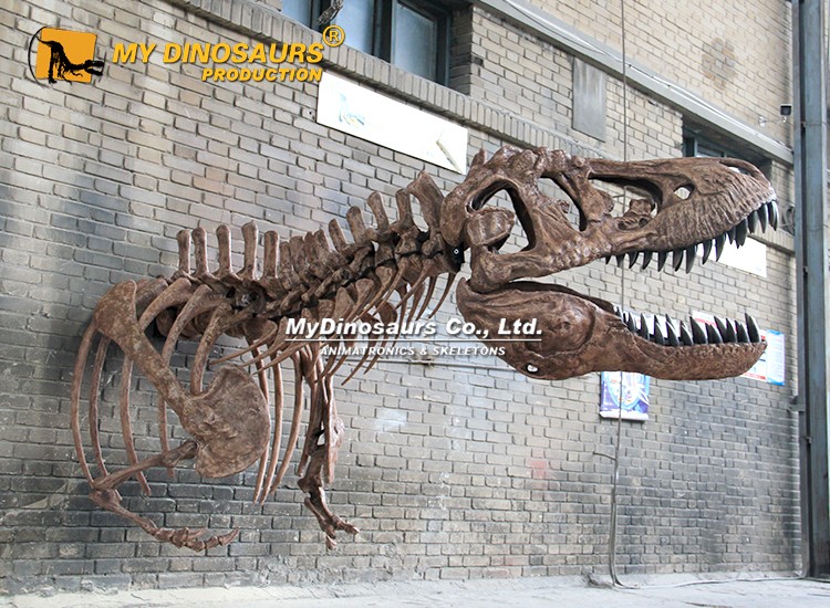 Wall Mounted T-rex Skull 3 Wall Mounted T-rex Skull 3